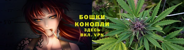 2c-b Горно-Алтайск