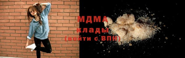 шишки Горняк