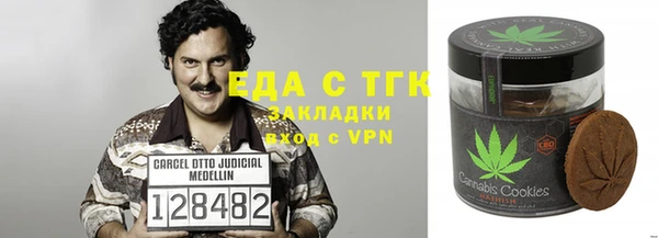 шишки Горняк