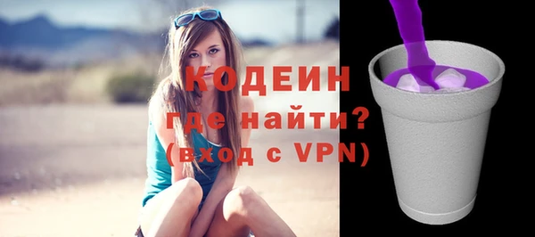 шишки Горняк