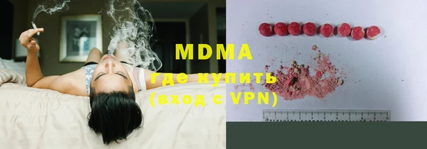 шишки Горняк