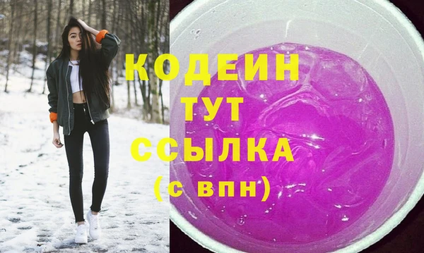 2c-b Горно-Алтайск