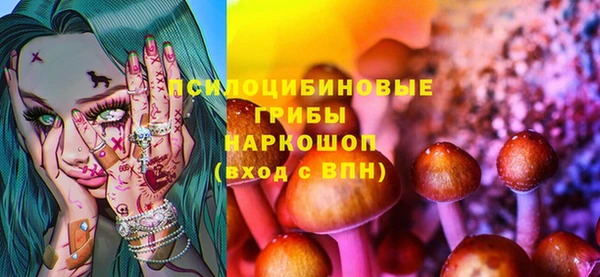 шишки Горняк