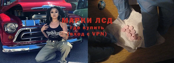 шишки Горняк